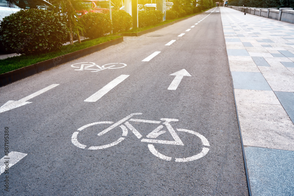 Obraz premium Bike path on the street in the city.