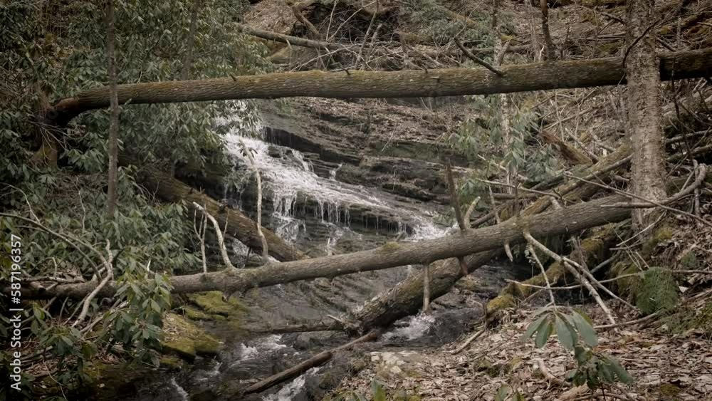 Lush cascading waterfall framed by fallen old trees, Poconos Pennyslvania slow motion Lush cascading waterfall framed by fallen old trees, Poconos Pennyslvania slow motion
