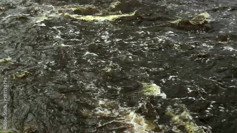 A full-water river after heavy rains and floods. Strong flow dirty water muddy. A full-water river after heavy rains and floods. Strong flow dirty water muddy.