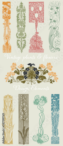 Vintage plants, flowers and natural elements. Woodcut and engraving illustrations.
