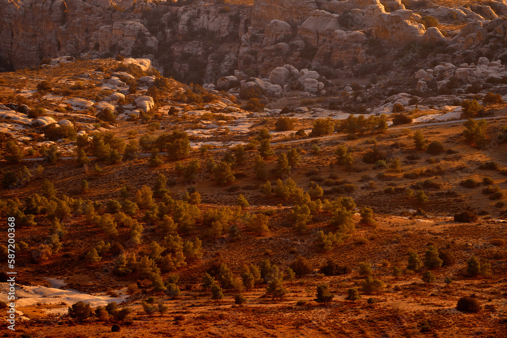 Obraz premium Jordan sunset landscape. Rocky mountain with orange evening in Dana Biosphere Reserve, Jorda. Traveling in Arabia. Stones and valley in Dana nature, wildlife.