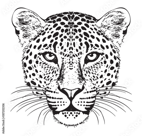Leopard portrait hand drawn sketch Vector illustration Wild animals