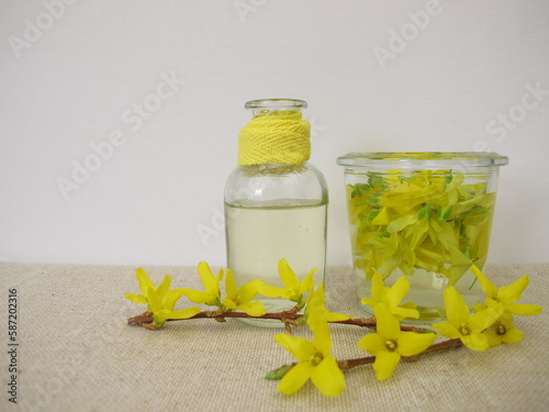 Facial toner with active ingredients from the yellow forsythia flowers photo