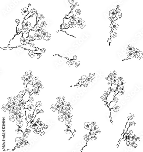 Free hand Sakura flower vector set, Beautiful line art Peach blossom isolate on white background.Branch of cherry blossom for printing on wallpapers and sticker.Japanese flower.Golden line art.