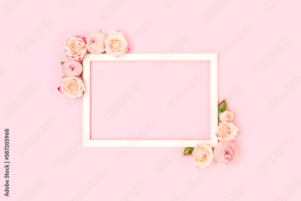 Border frame made of rose flowers on a pink background. Festive floral concept.
