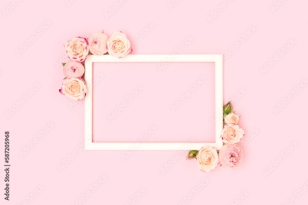Border frame made of rose flowers on a pink background. Festive floral concept. Border frame made of rose flowers on a pink background. Festive floral concept.