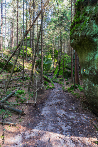 Hiking trail in forest with stones and rock formations in Broumovske steny in Czech republic