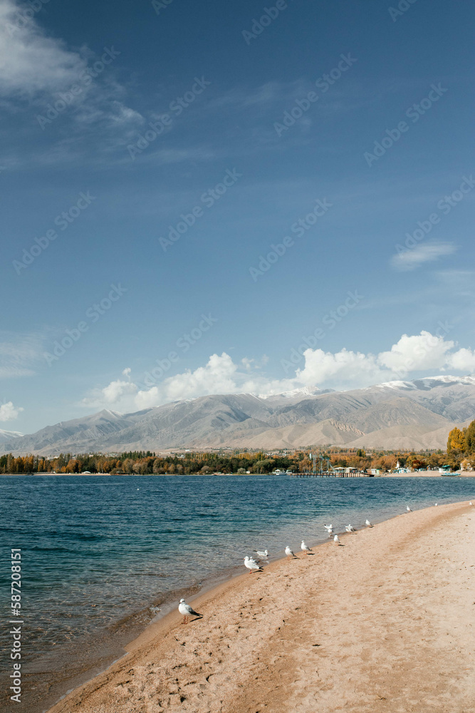 Fototapeta premium The photo showcases a blue mountain lake with a multitude of white seagulls gathered on its shore.