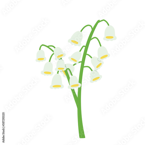 bouquet of lily of the valley flowers