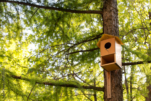 wooden bird house