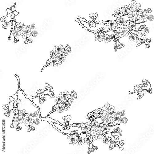 Free hand Sakura flower vector set, Beautiful line art Peach blossom isolate on white background.Branch of cherry blossom for printing on wallpapers and sticker.Japanese flower.Golden line art.