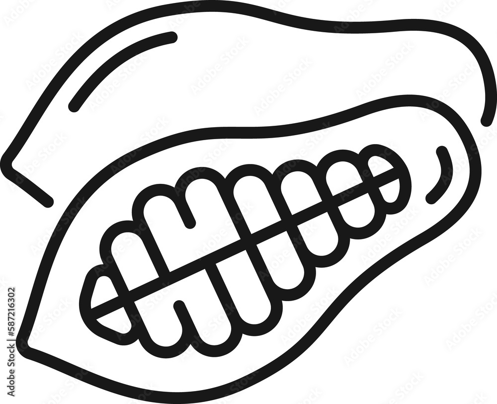Cocoa or cacao beans isolated outline icon Cocoa or cacao beans isolated outline icon