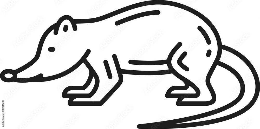 Cuban solenodon outline icon, Caribbean animal