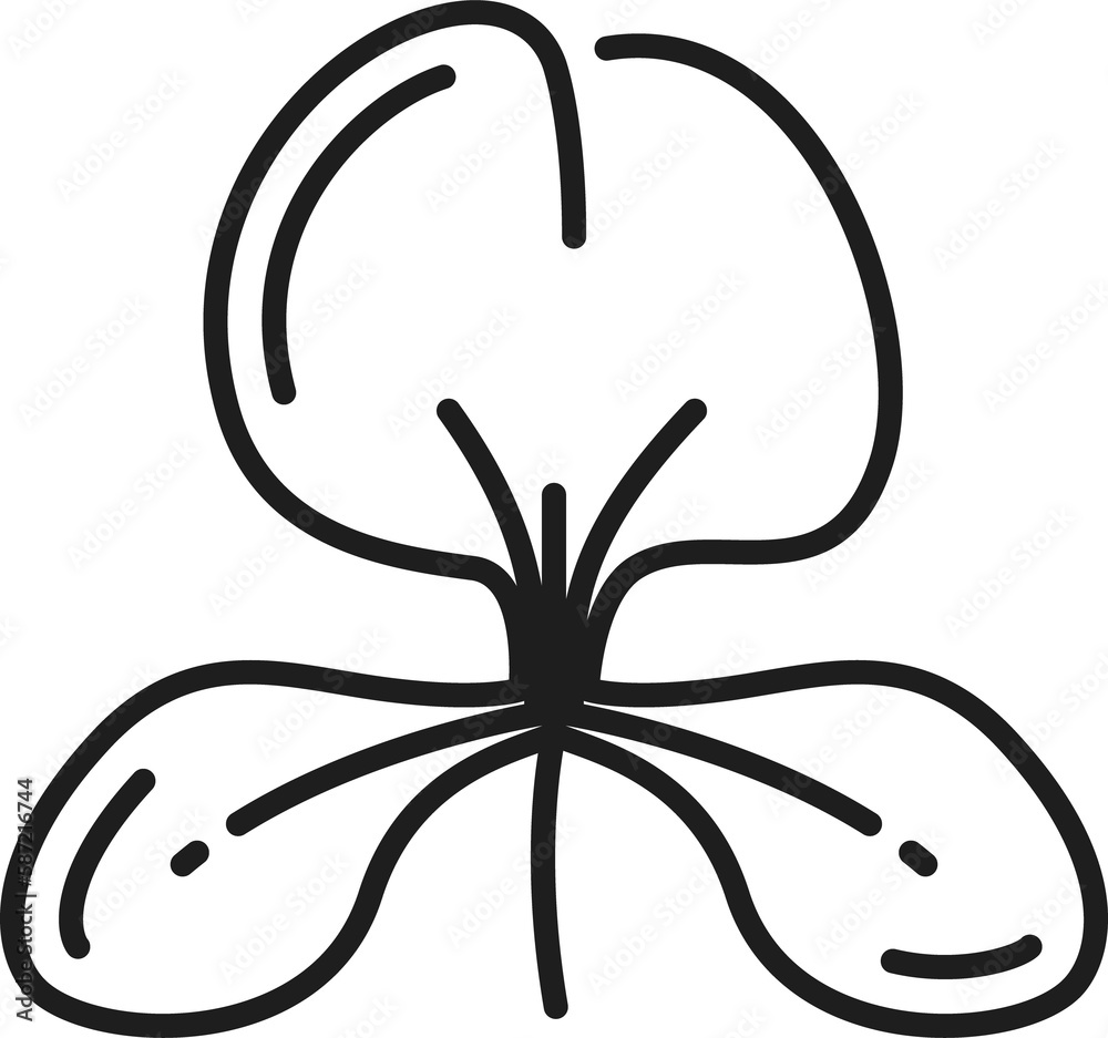 Ginger lily national flower of Cuba outline icon Ginger lily national flower of Cuba outline icon