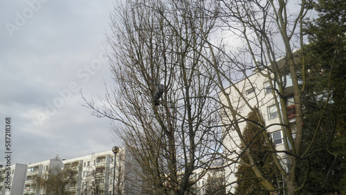 widok zdjecie starym apaearem photo