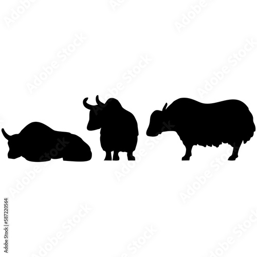 Wild Yak silhouette