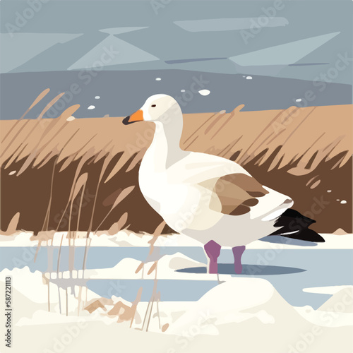 Snow goose in arctic wetlands. Arctic birds in natural habitat. Flat vector illustration concept. Generative AI