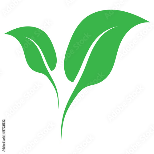 green leaf icon