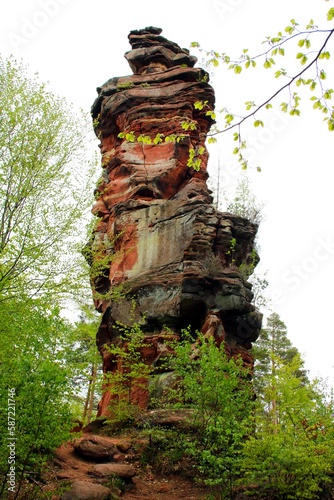 Wallpaper Mural Buntsandsteinfelsen im Pfälzerwald Torontodigital.ca