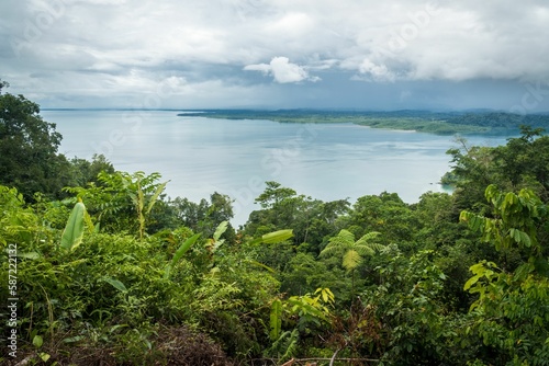 Fototapeta Naklejka Na Ścianę i Meble -  Beautiful shot of tropical forest with a background of a sea