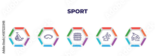 editable outline icons with infographic template. infographic for sport concept. included unicycling hockey, sport goggles, go game, polo sport, sumo icons.