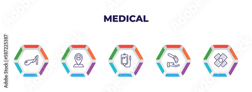 editable outline icons with infographic template. infographic for medical concept. included gallbladder, hospital placeholder, perfusion, acid falling on hand, bandage cross icons.