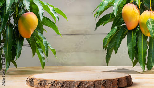 Mango fruit hanging on a tree with a rustic wooden table