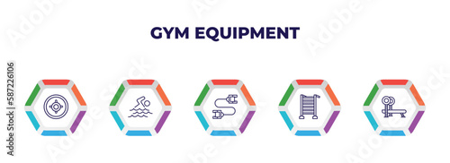 editable outline icons with infographic template. infographic for gym equipment concept. included weight plates, swim, strandpulling, swedish wall, bench press icons.