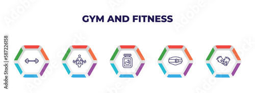editable outline icons with infographic template. infographic for gym and fitness concept. included lifting barbell, trainers, phytonutrients, lumbar belt, fitness gloves icons.
