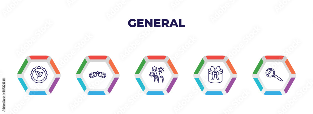 editable outline icons with infographic template. infographic for general concept. included go green badge, binocular, daisy bouquet, gift box with ribbon, magnifiying glass icons. editable outline icons with infographic template. infographic for general concept. included go green badge, binocular, daisy bouquet, gift box with ribbon, magnifiying glass icons.