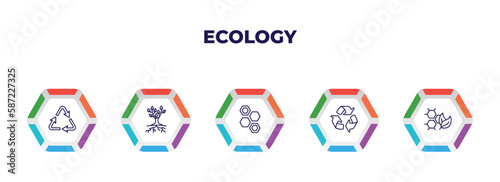 editable outline icons with infographic template. infographic for ecology concept. included recycling, tree and roots, eco power cells, recycle, eco cell icons.