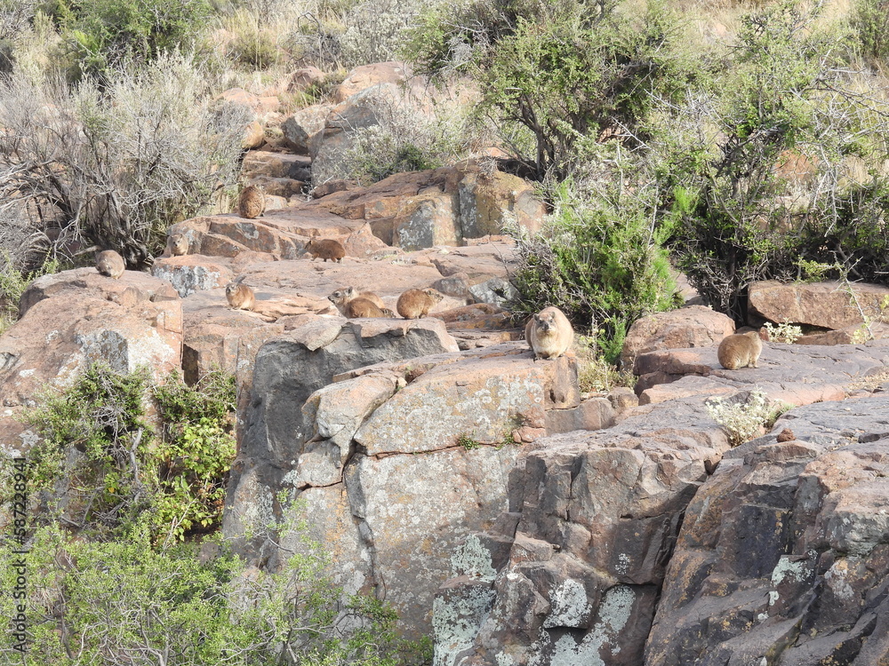 Road Trip Karoo Nat Park Road Trip Karoo Nat Park