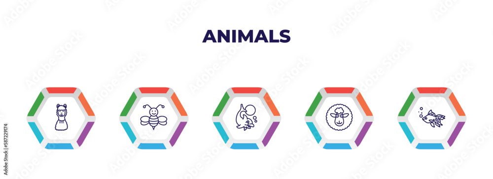 editable outline icons with infographic template. infographic for animals concept. included llama, bee, dolphin jumping, female sheep, gold fish icons. editable outline icons with infographic template. infographic for animals concept. included llama, bee, dolphin jumping, female sheep, gold fish icons.