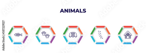 editable outline icons with infographic template. infographic for animals concept. included fish bone, pawprint, pekingese, pawprints, kennel icons.