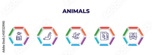 editable outline icons with infographic template. infographic for animals concept. included fish shop, animal testing, moon and bats, fish and knife, insect icons.