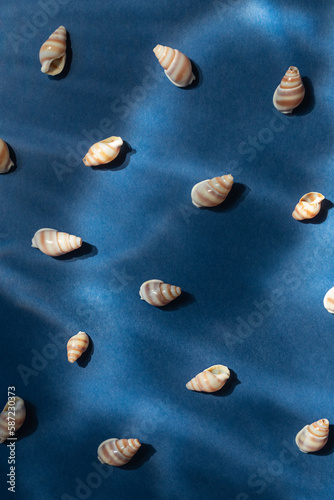Seashells with underwater shadows on the blue background top view 
