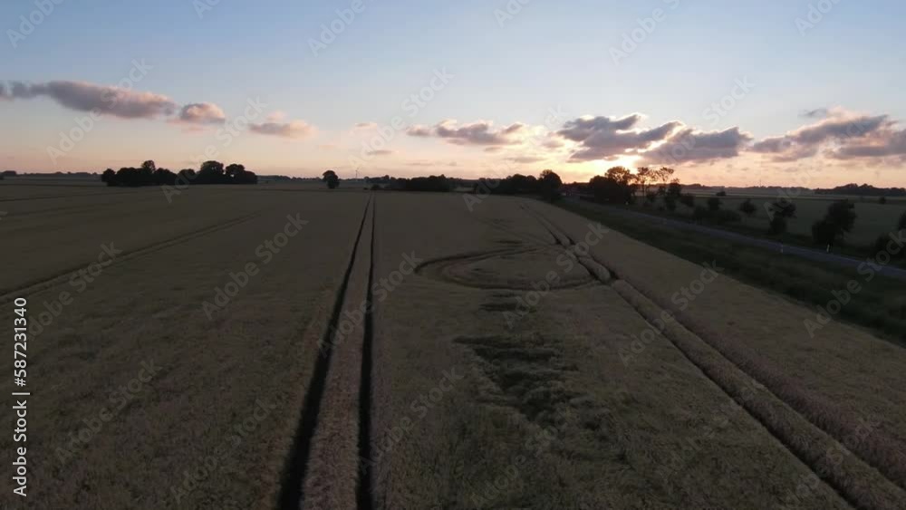 game damage in a wheat field at sunset game damage in a wheat field at sunset
