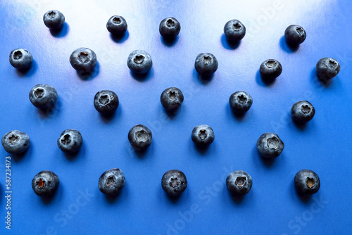 Bog blueberry pattern on a blue background