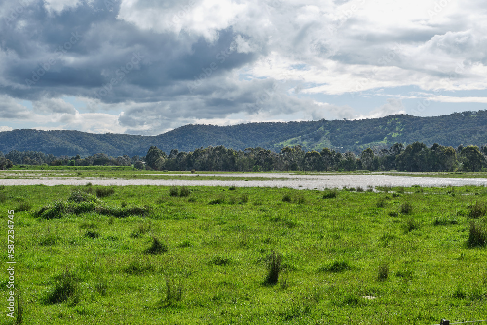 Flooded Grazing and Pasture Land around Yarra Glen Victoria. During the Recent Heavy Rains In The Area.