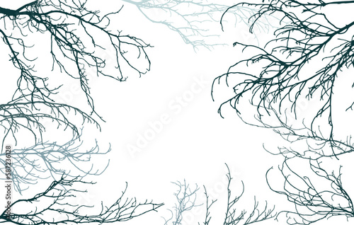 Bare branches of trees silhouette, background. Vector illustration