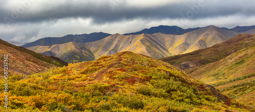 Mountain landscape in autumn colors, Denali National Park Alaska photo
