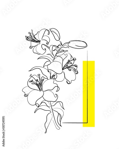 hand drawn illustration of lillies photo
