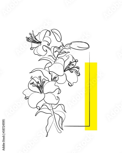 hand drawn illustration of lillies