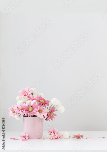 white and pink chrysanthemums in pink vase on white background