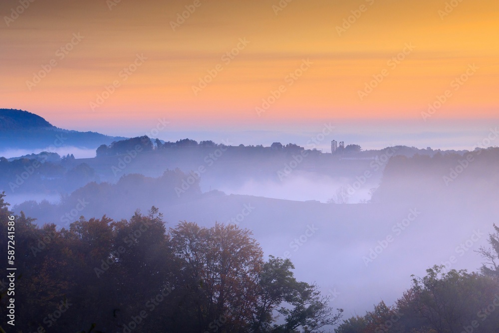 Scenic view of foggy forest landscape during sunrise