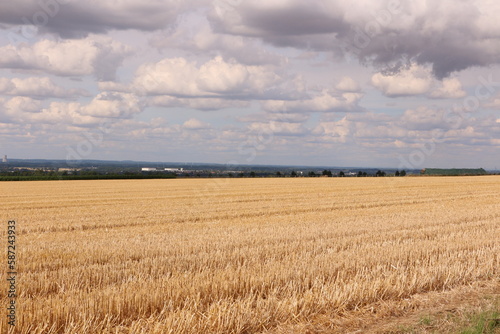 Blick über die weiten Felder im Sommer bei Wickede an der Ruhr