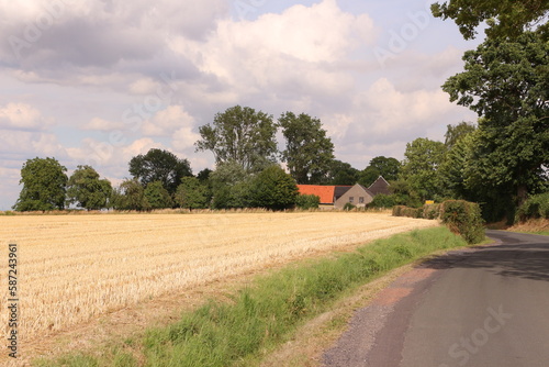 Blick über die weiten Felder im Sommer bei Wickede an der Ruhr