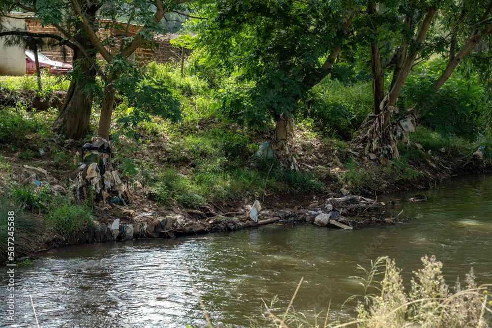 Rubbish caught on the trunks of trees and also littering a riverbank in a rural area. Rubbish caught on the trunks of trees and also littering a riverbank in a rural area.
