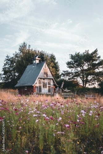 Landscape of The wizard cabin on a flowers field in the province of Namur, Belgium