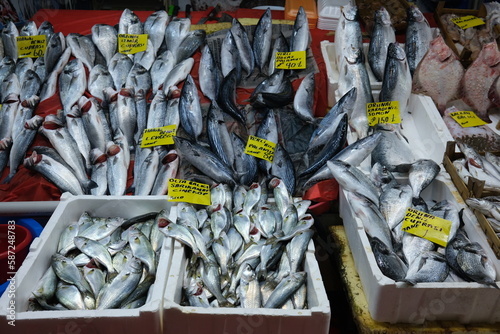 fish in a market
